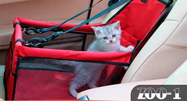 ZOO-384х20830092025 111554.jpg